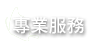 專業服務